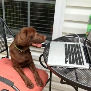 Meet your Posher, Tiffany